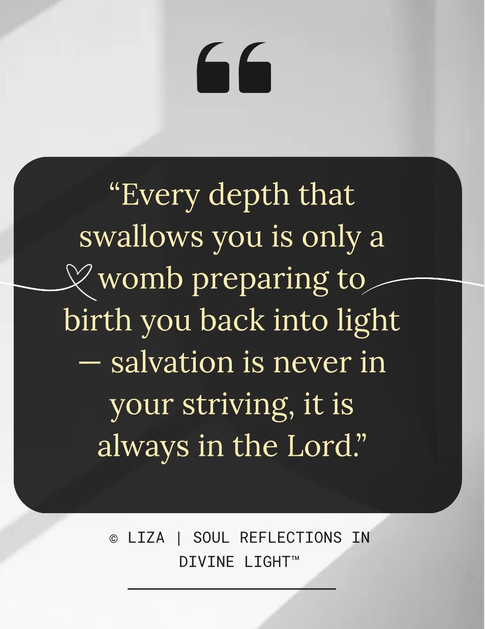 From the Belly to the Light by Liza