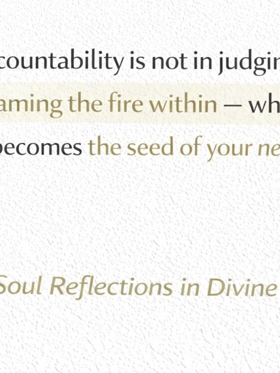 Accountability is something you own daily by Liza