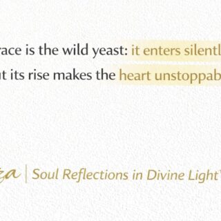 This quote served as a powerful reminder by Liza
